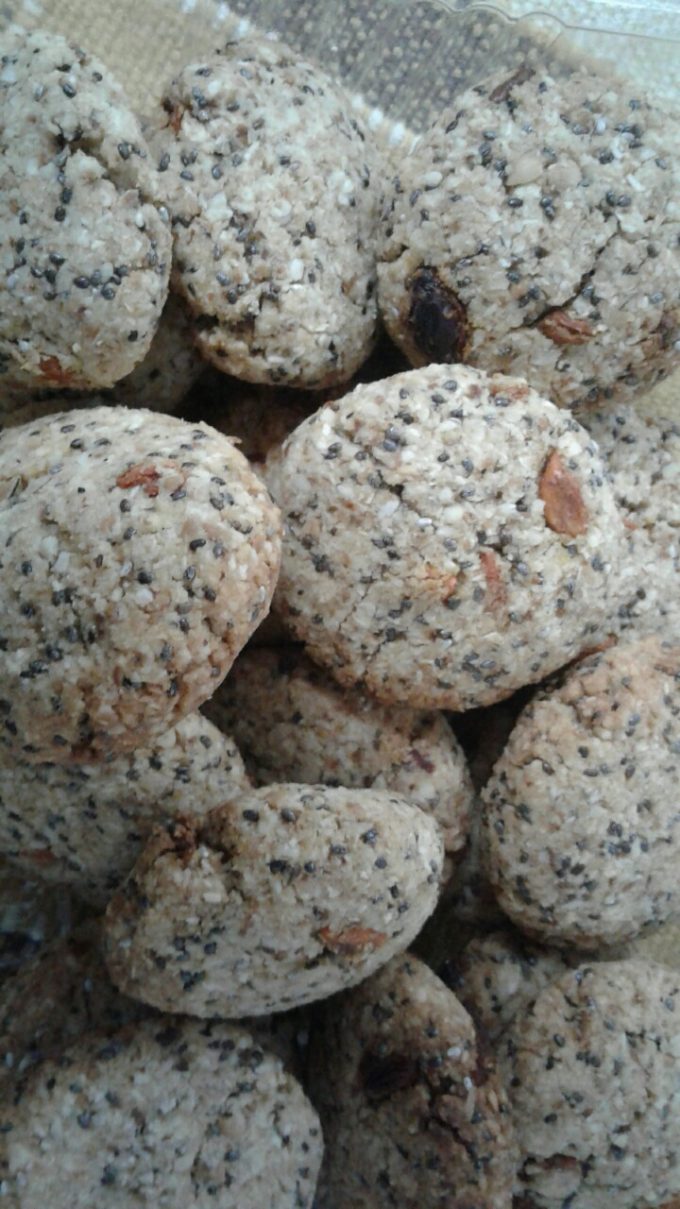 Cookies lowcarb com gogiberry (zero lácteos – zero glúten – zero conservantes)