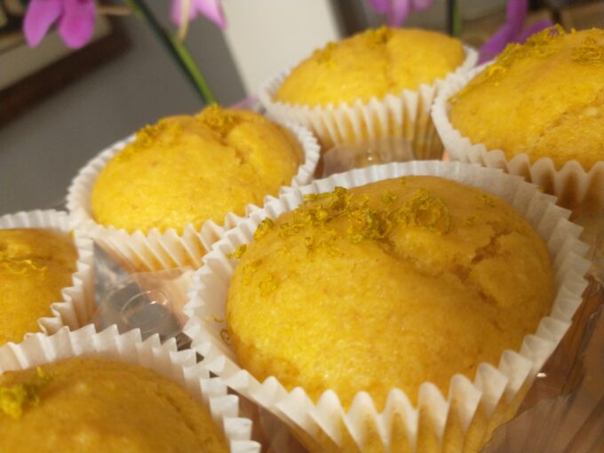 Bolo de laranja com cenoura (sem glúten-vegano)